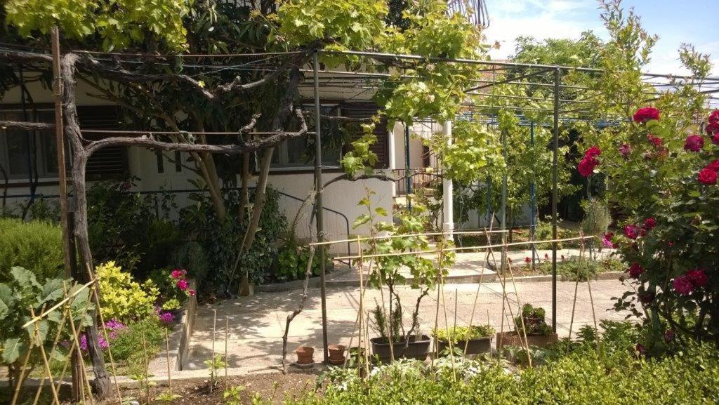 Apartments Bir - With Balcony Vodice Ngoại thất bức ảnh